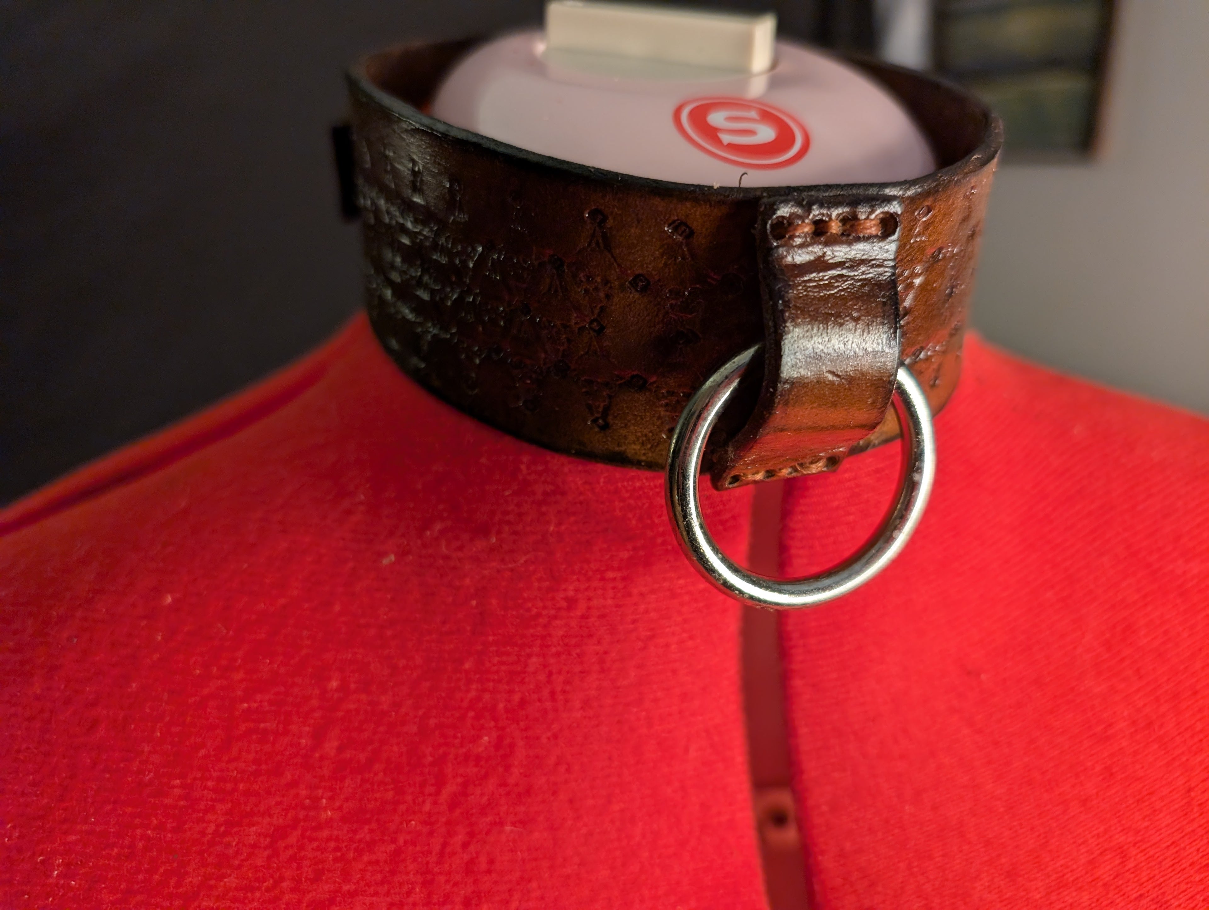Custom made Leather collar, straight cut, buckle closure