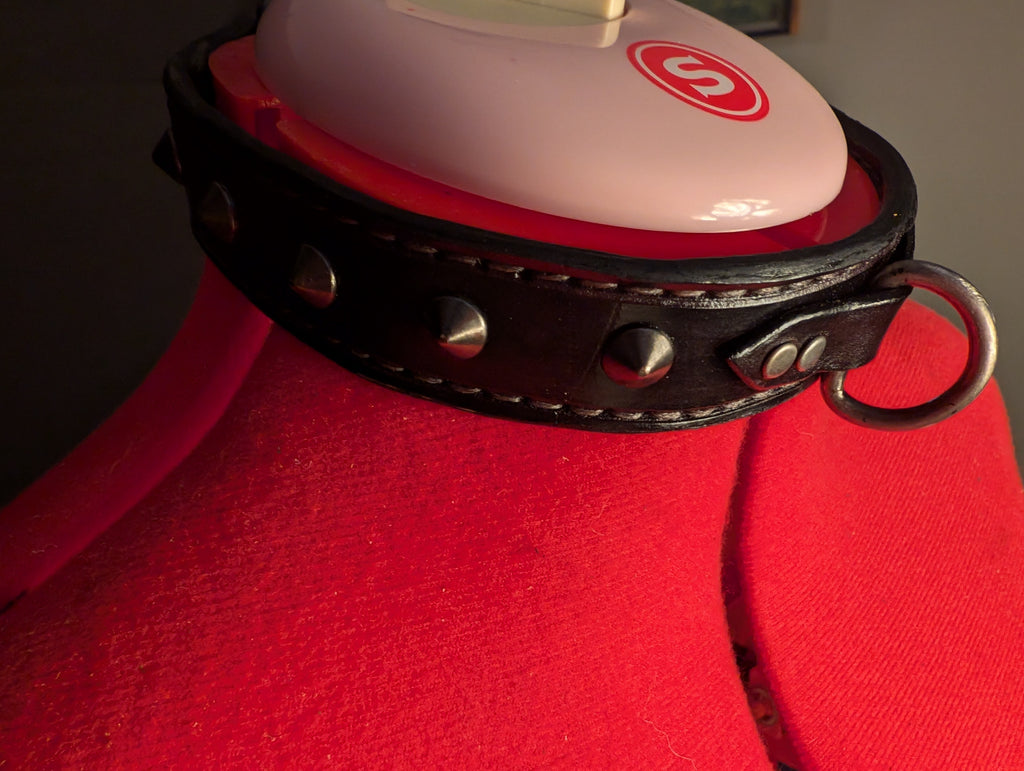 Custom made Leather collar, straight cut, buckle closure